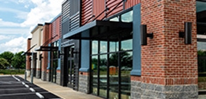 Commercial Pest Control